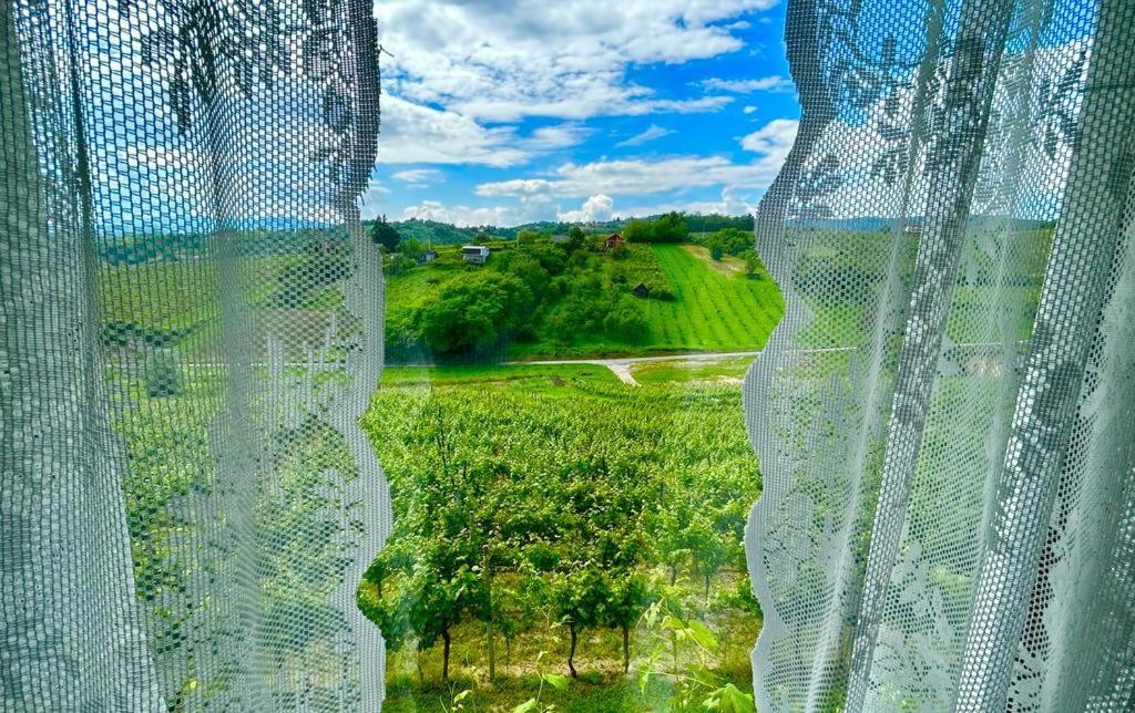Wine Paradise Sveti Ivan Zelina Ngoại thất bức ảnh