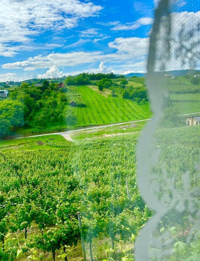 Wine Paradise Sveti Ivan Zelina Ngoại thất bức ảnh