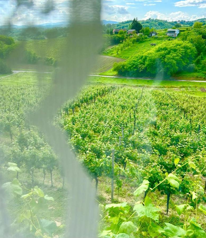 Wine Paradise Sveti Ivan Zelina Ngoại thất bức ảnh
