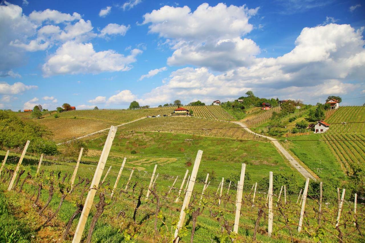 Wine Paradise Sveti Ivan Zelina Ngoại thất bức ảnh