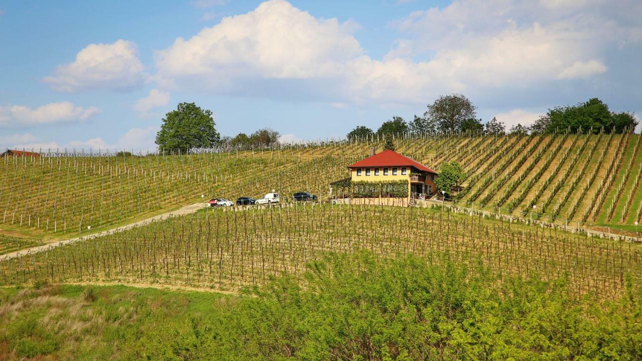 Wine Paradise Sveti Ivan Zelina Ngoại thất bức ảnh